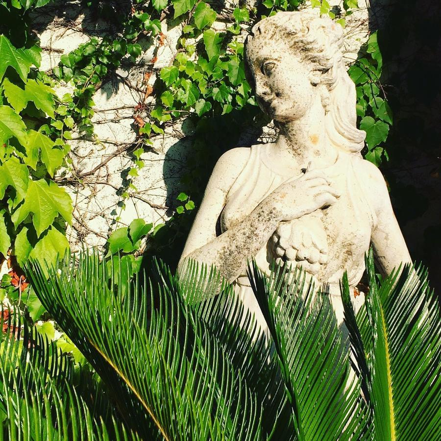 Foglie D' Acqua Bed & Breakfast Bisceglie Exterior photo