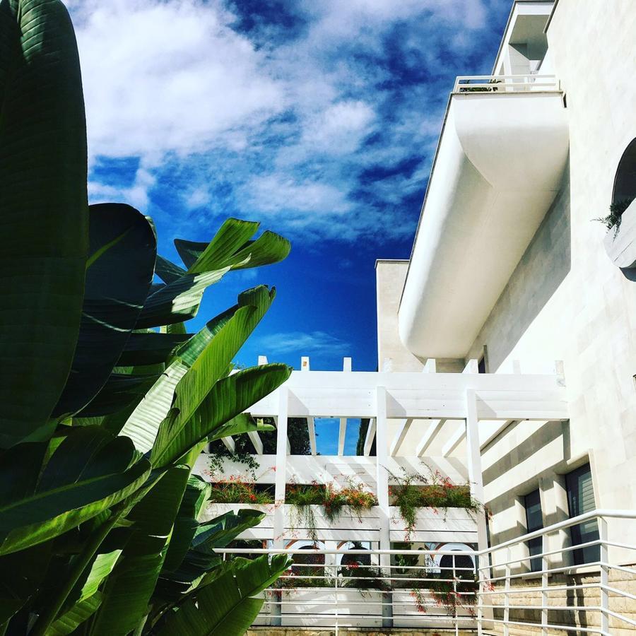 Foglie D' Acqua Bed & Breakfast Bisceglie Exterior photo